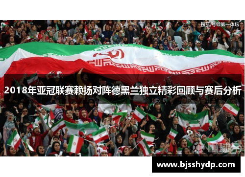 2018年亚冠联赛赖扬对阵德黑兰独立精彩回顾与赛后分析
