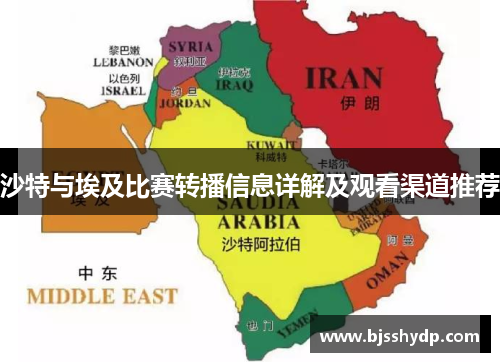 沙特与埃及比赛转播信息详解及观看渠道推荐